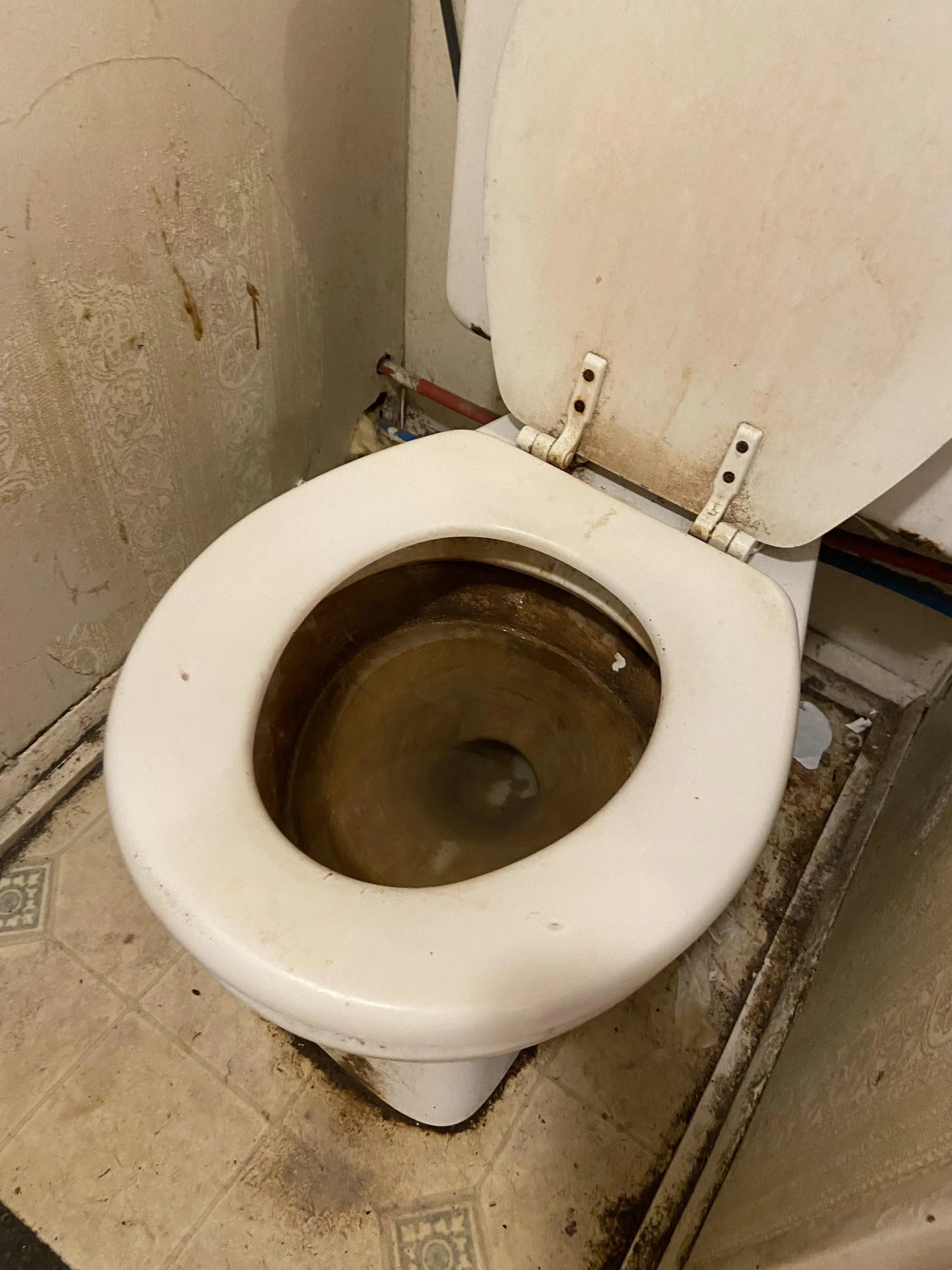 Dirty toilet with heavy stains and mineral scale in a college apartment